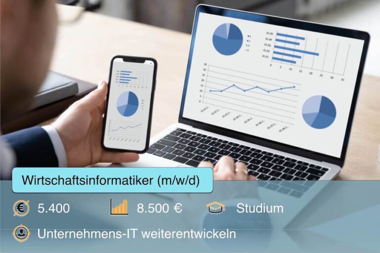 Wirtschaftsinformatiker Beruf Studium Aufgaben Profil