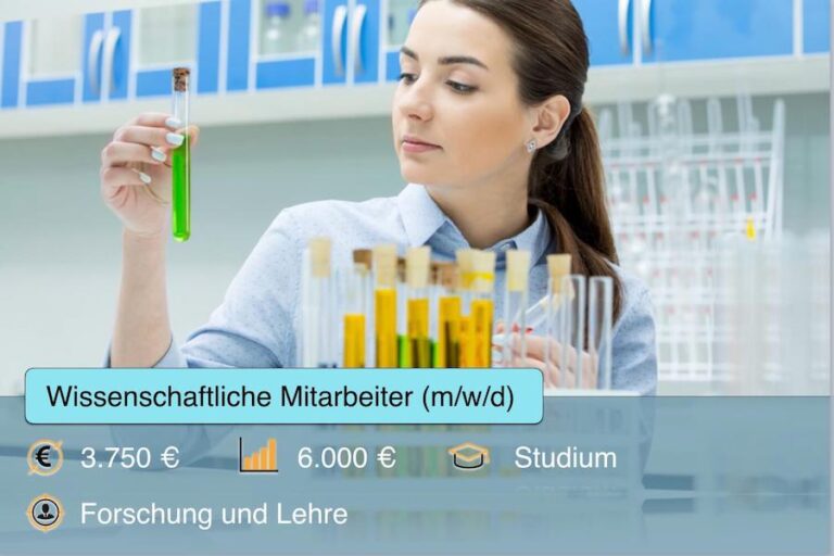 Wissenschaftliche Mitarbeiter Aufgaben Profil Steckbrief